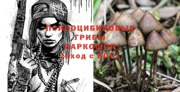 таблы Алексеевка