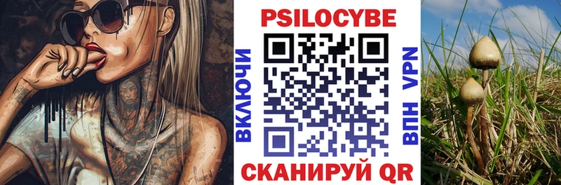 Галлюциногенные грибы мицелий  OMG tor  Прохладный 